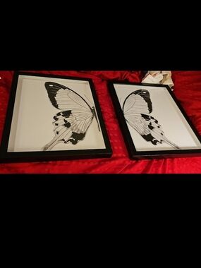 Black & White Butterfly Framed Wall Art - Set of 2   18"Lx14"W